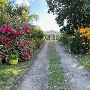 Jardin Des Anges-bungalows Creoles Et , Le Moule Guadeloupe